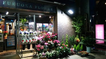 「福岡フラワー」　（埼玉県ふじみ野市）の花屋店舗写真1