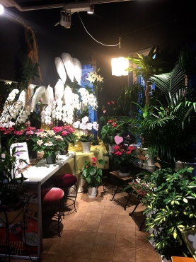 「福岡フラワー」　（埼玉県ふじみ野市）の花屋店舗写真2